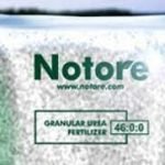 Notore