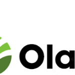 Olam