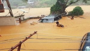 Flood